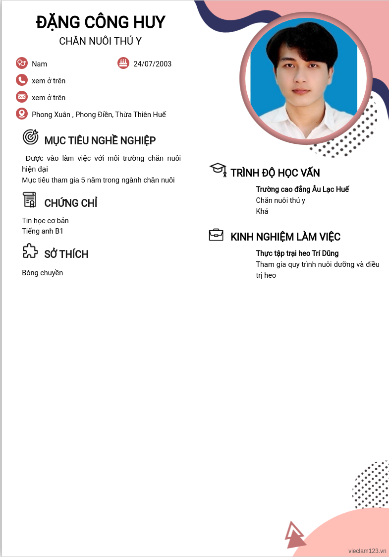 cv