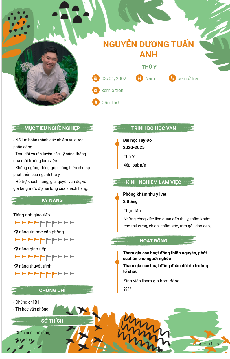 cv