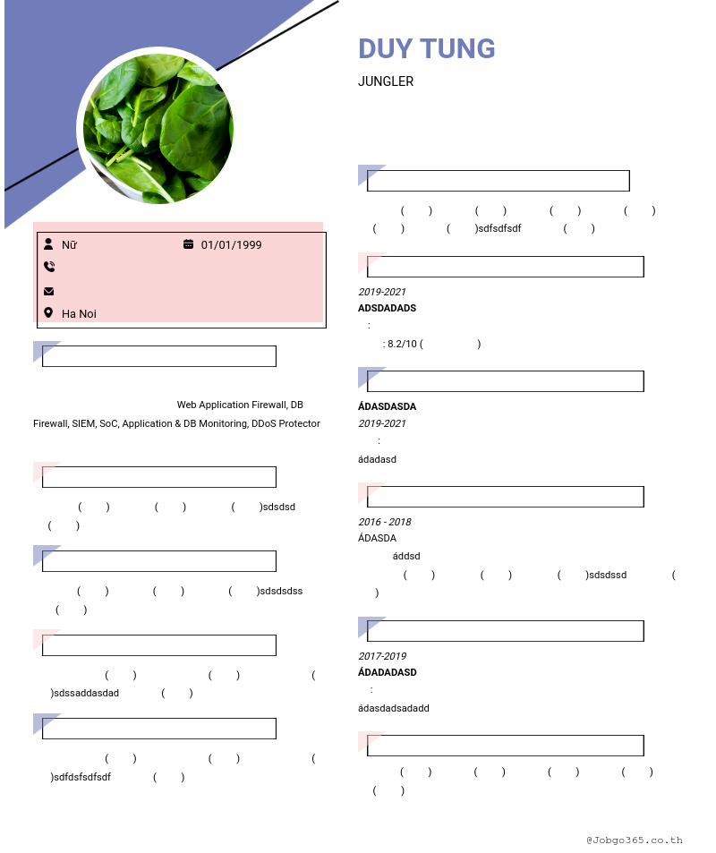 cv