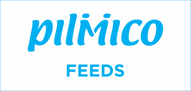CÔNG TY TNHH PILMICO VIỆT NAM