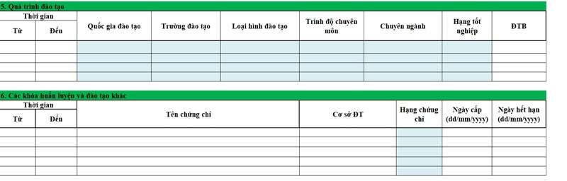 Phần quá trình đào tạo và các thành tích trong CV VPBank