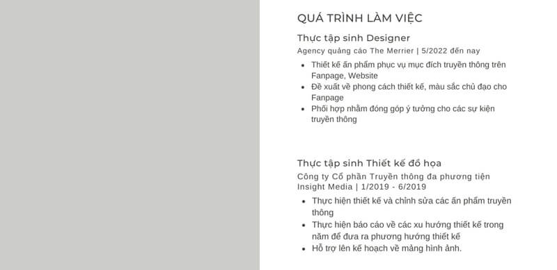 Phần quá trình làm việc trong bản CV du học