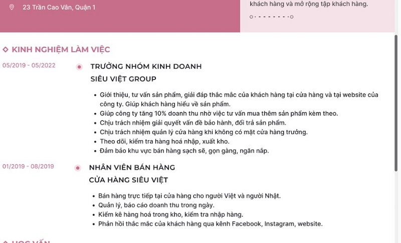 Kinh nghiệm trong CV kinh doanh