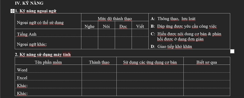 Mục kỹ năng ngoại ngữ và tin học trong CV ngân hàng TPBank