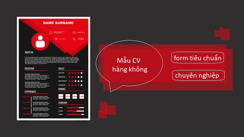 Mẫu CV hàng không tiêu chuẩn