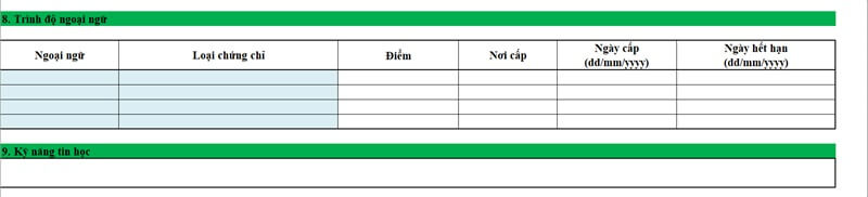 Mục trình độ ngoại ngữ và kỹ năng tin học trong CV VPBank