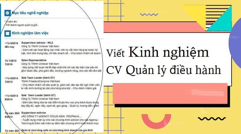 Phần kinh nghiệm trong CV quản lý điều hành