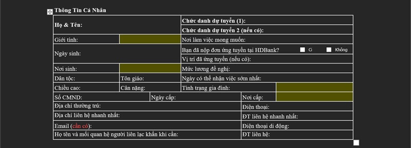 Phần thông tin ứng viên trong CV HDBank