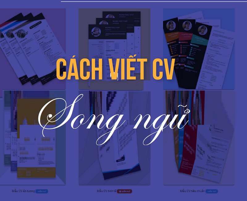 Nguyên tắc viết CV song ngữ