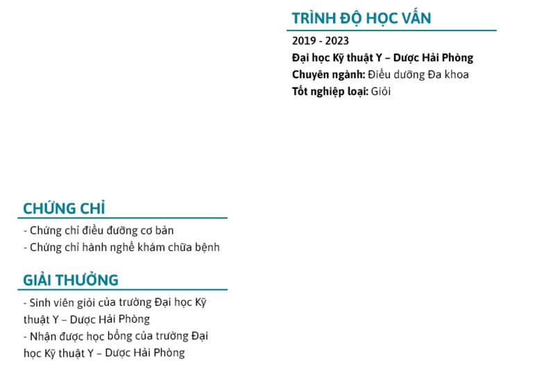 Phần trình độ học vấn trong bản CV y tế dược