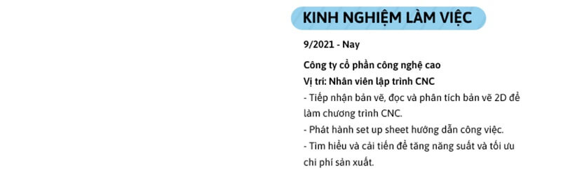 Phần kinh nghiệm làm việc trong CV cơ khí chế tạo