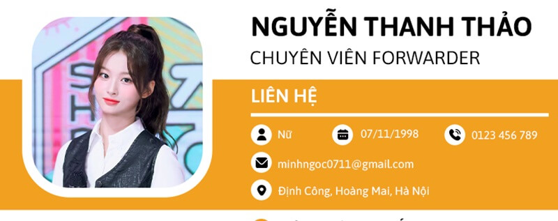 Phần thông tin cá nhân trong bản CV logistics