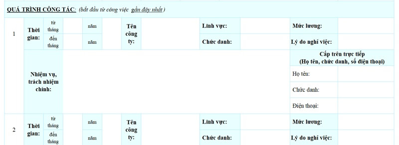 Phần quá trình công tác trong mẫu CV ngân hàng Eximbank