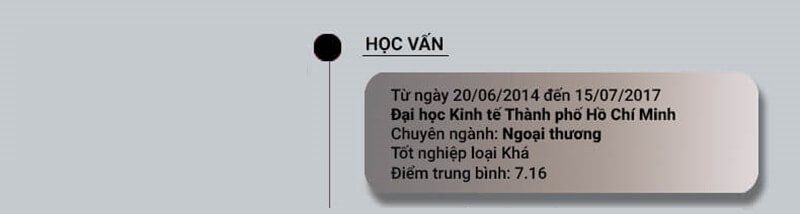 Phần trình độ học vấn trong mẫu CV nhập liệu