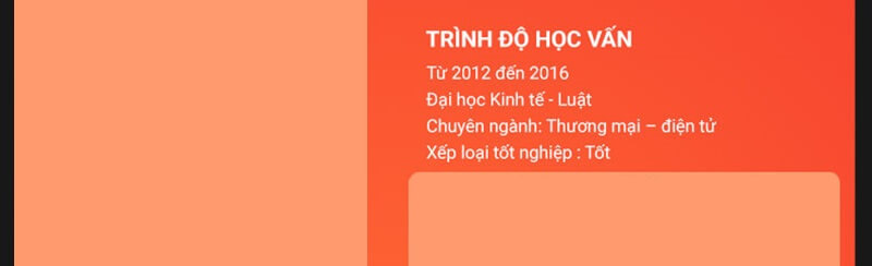 Mục trình độ học vấn trong mẫu CV thương mại điện tử