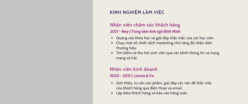 Phần kinh nghiệm làm việc trong CV tư vấn