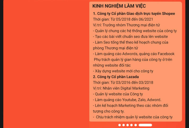 Mục kinh nghiệm làm việc trong CV thương mại điện tử