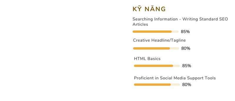 Phần kỹ năng trong mẫu CV xin việc Copywriter