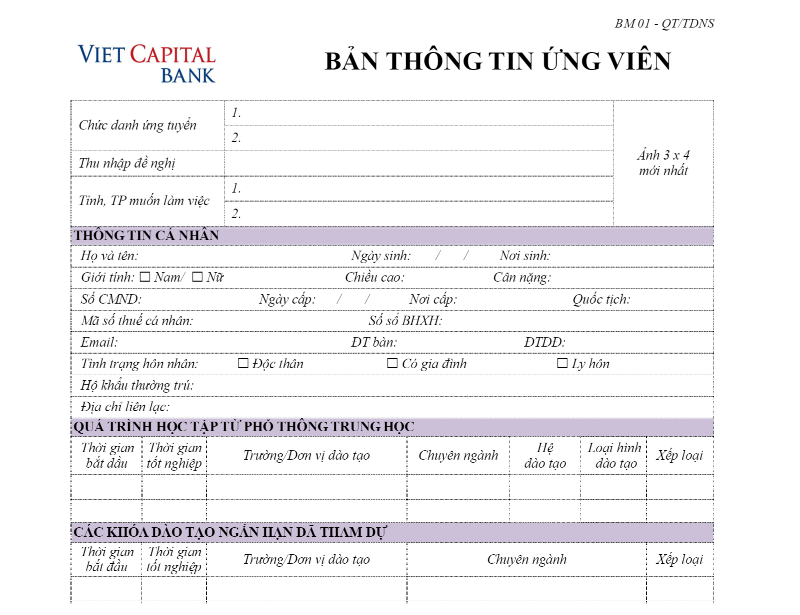 Điền thông tin đầy đủ vào mẫu CV ngân hàng Bản Việt