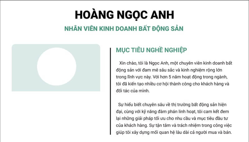 Phần mục tiêu nghề nghiệp trong bản CV xin việc bất động sản