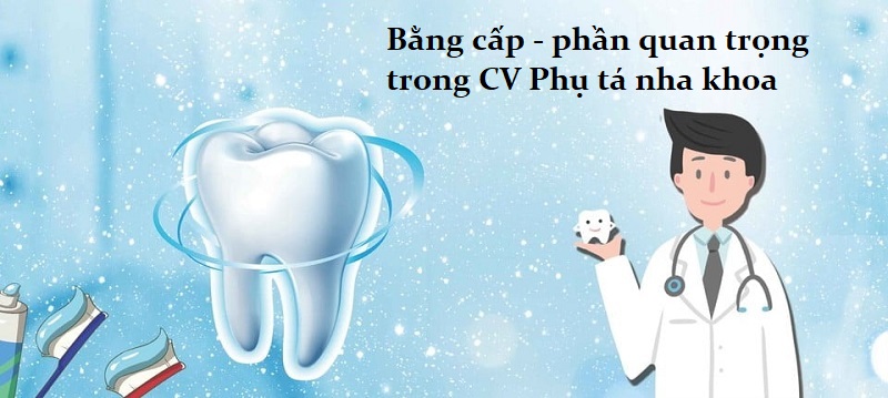 Cách trình bày CV xin việc phụ tá nha khoa