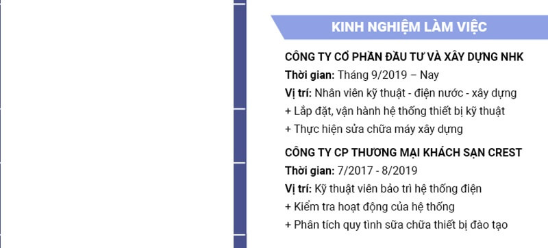 Phần kinh nghiệm làm việc trong CV điện tử - điện lạnh