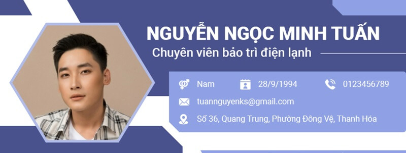 Phần thông tin cá nhân trong bản CV điện tử - điện lạnh