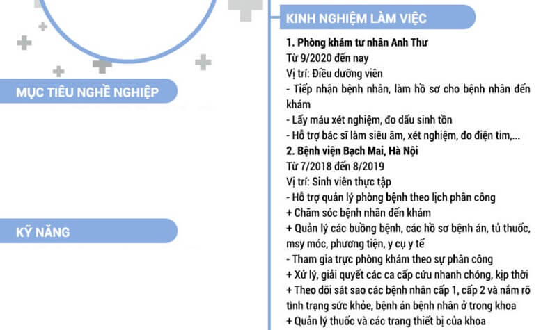 Phần kinh nghiệm làm việc của mẫu CV xin việc ngành dược