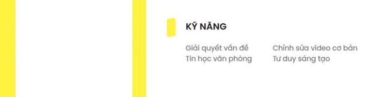 Phần kỹ năng trong mẫu CV xin việc trái ngành