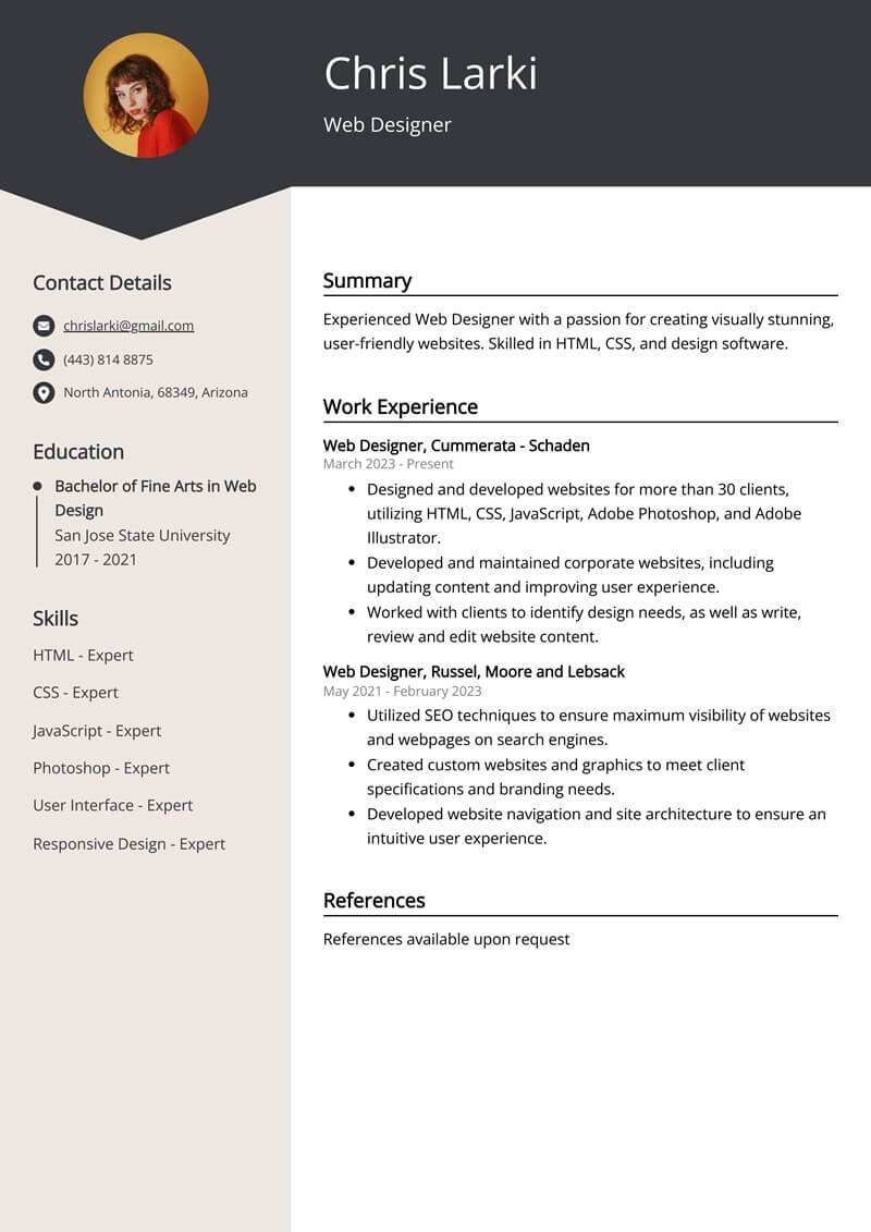 Bố cục chuẩn của một mẫu CV xin việc Web Designer