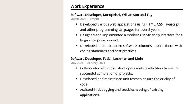 Phần kinh nghiệm làm việc trong CV Software Developer