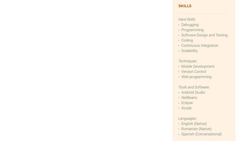 Phần kỹ năng trong CV Junior Developer
