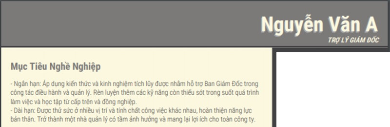 Form mục tiêu trong CV trợ lý giám đốc - hiểu rõ mục tiêu ngắn hạn và mục tiêu dài hạn