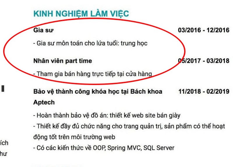 Cach-viet-kinh-nghiem-lam-viec