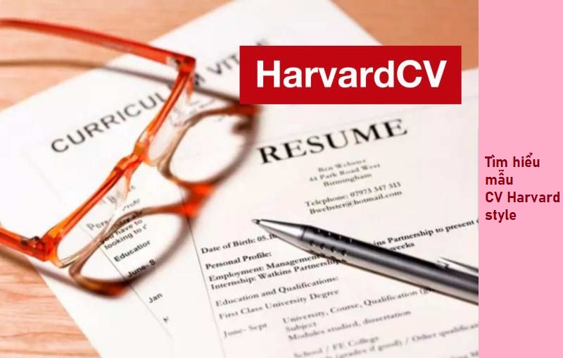 CV Harvard Style