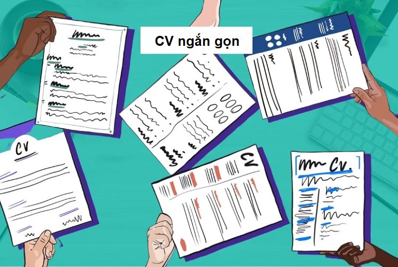 Trình bày CV đơn giản