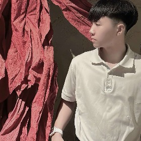 Võ tuấn hoà linh