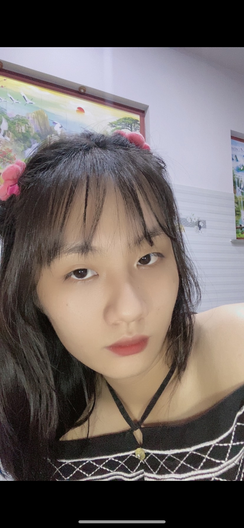 Phạm Hồ Băng Tâm