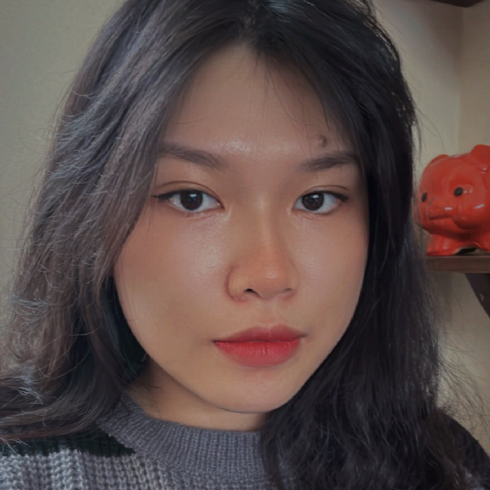 Trần Thị Thùy Linh 