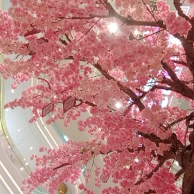 PHAN NGUYỄN ANH THƯ