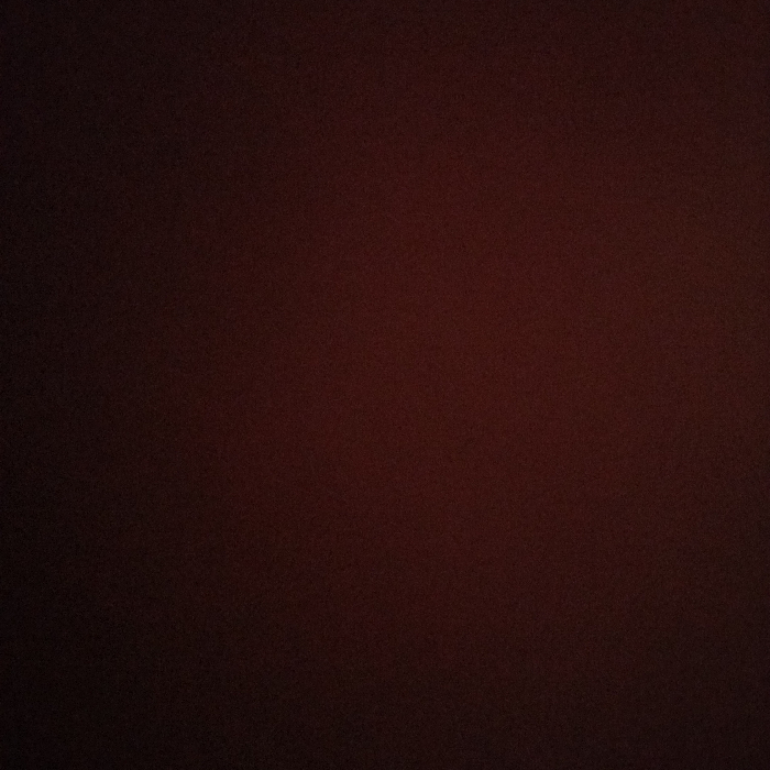 Đặng Lê Kiều Vy