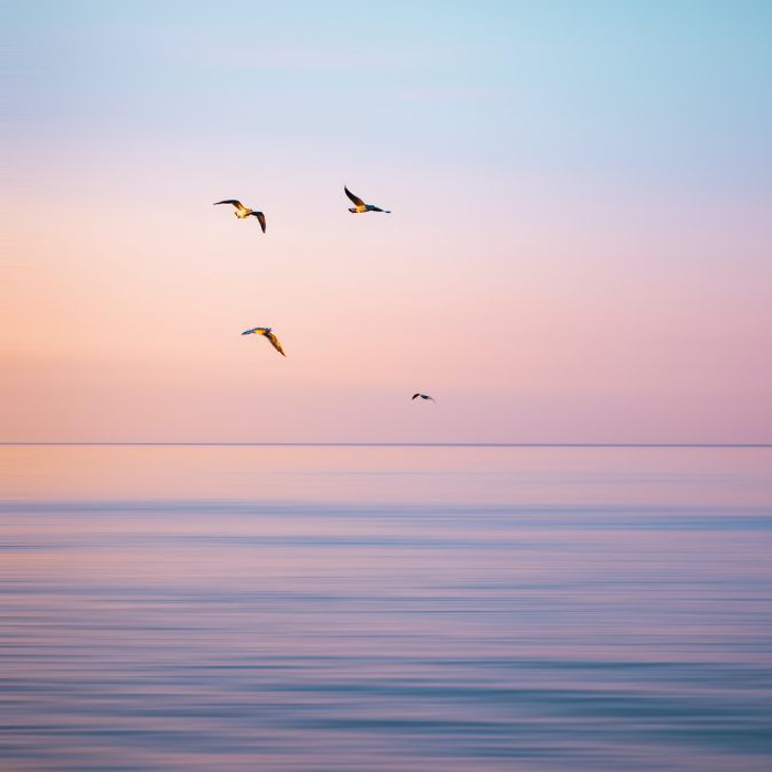 Nguyễn Tiến Thịnh