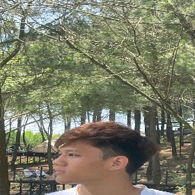 Phùng lam trường