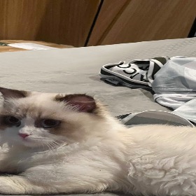 Nguyễn Thị Carot