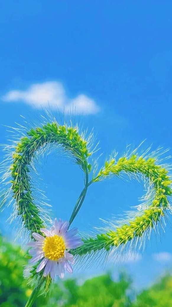 Hoàng Thị Huyền