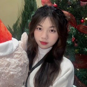 nguyễn phạm tú anh 