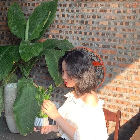 Cao Lê Hoàng Yến Ngọc