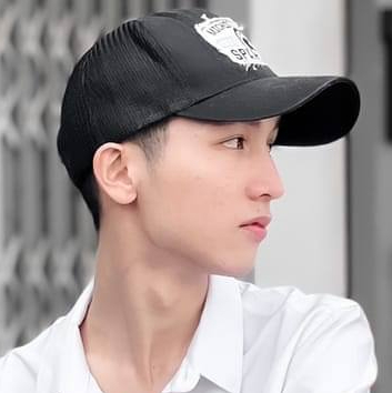 Đinh Lê Hữu Lợi