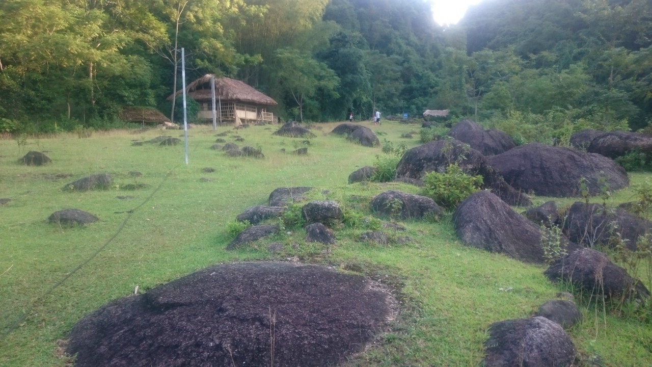 Nguyễn thị ThÁI