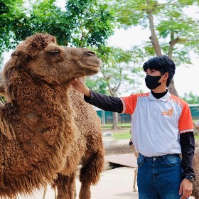 Thái Quốc Song Lâm